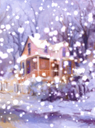 pic for winter house